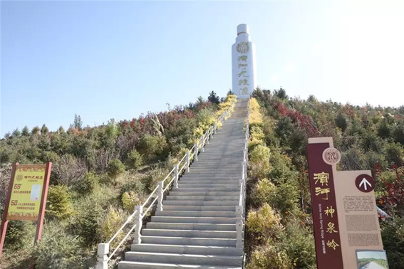 未标题-4.jpg